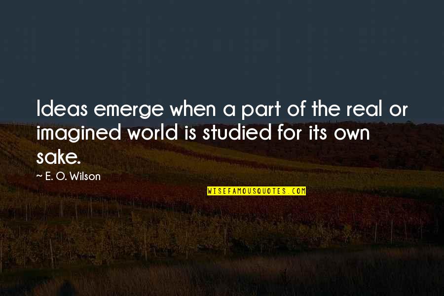 Rivieren Nederland Quotes By E. O. Wilson: Ideas emerge when a part of the real