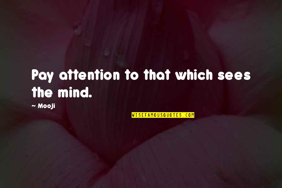 Rivieren Nederland Quotes By Mooji: Pay attention to that which sees the mind.