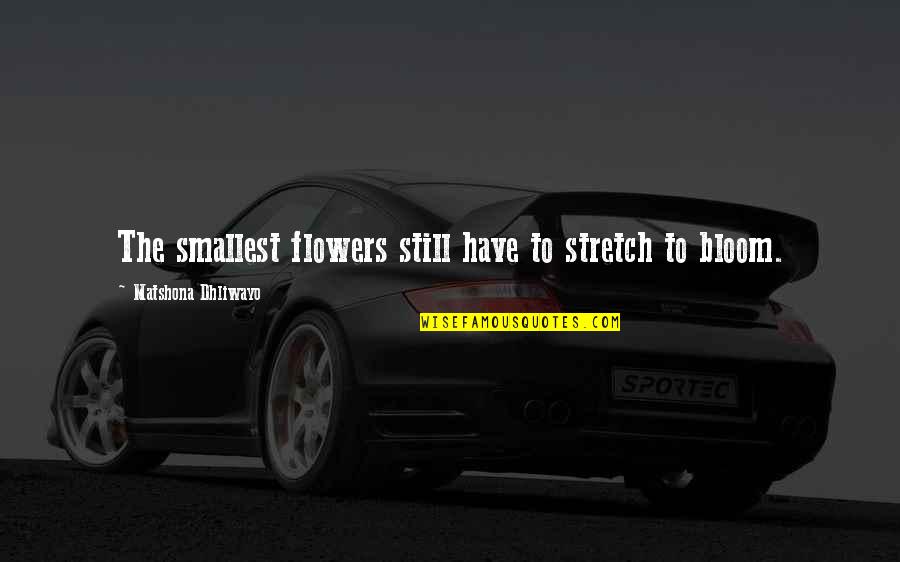 Riving Quotes By Matshona Dhliwayo: The smallest flowers still have to stretch to