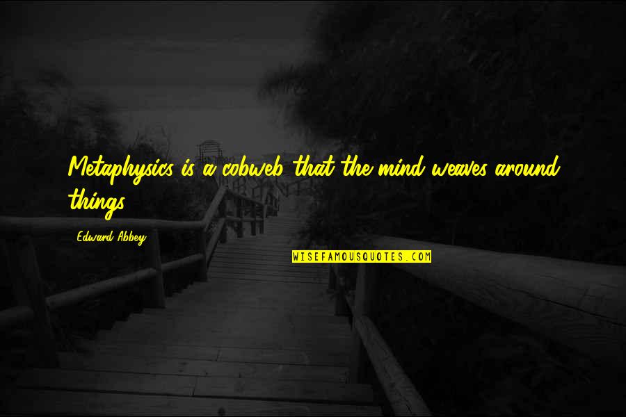 Rivington Debary Quotes By Edward Abbey: Metaphysics is a cobweb that the mind weaves