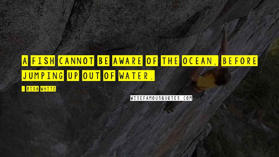 Rixa White quotes: A fish cannot be aware of the ocean, before jumping up out of water.