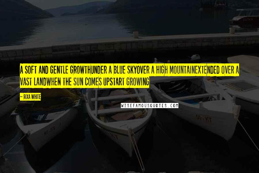 Rixa White quotes: A soft and gentle growthUnder a blue skyOver a high mountainExtended over a vast landWhen the sun comes upStart growing Rixa White quotes: A soft and gentle growthUnder a blue skyOver a high mountainExtended over a vast landWhen the sun comes upStart growing