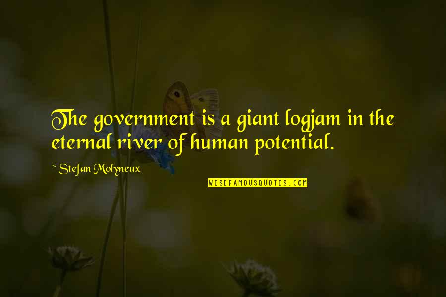 Rizaliana Quotes By Stefan Molyneux: The government is a giant logjam in the