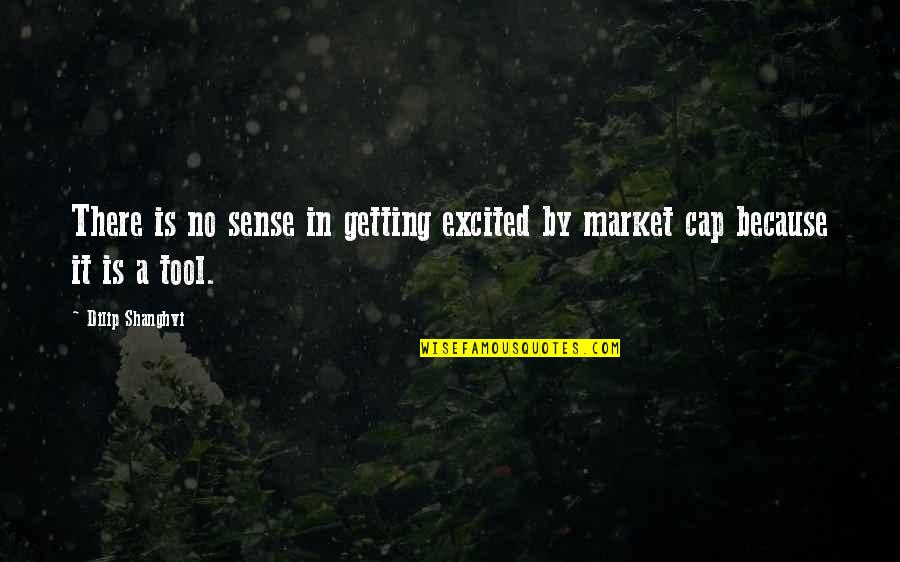 Rizel Kh Quotes By Dilip Shanghvi: There is no sense in getting excited by