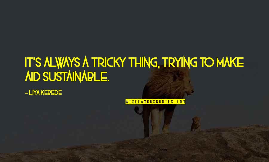 Rizqi Rachmat Quotes By Liya Kebede: It's always a tricky thing, trying to make