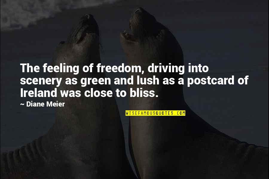 Rmakin Quotes By Diane Meier: The feeling of freedom, driving into scenery as Rmakin Quotes By Diane Meier: The feeling of freedom, driving into scenery as