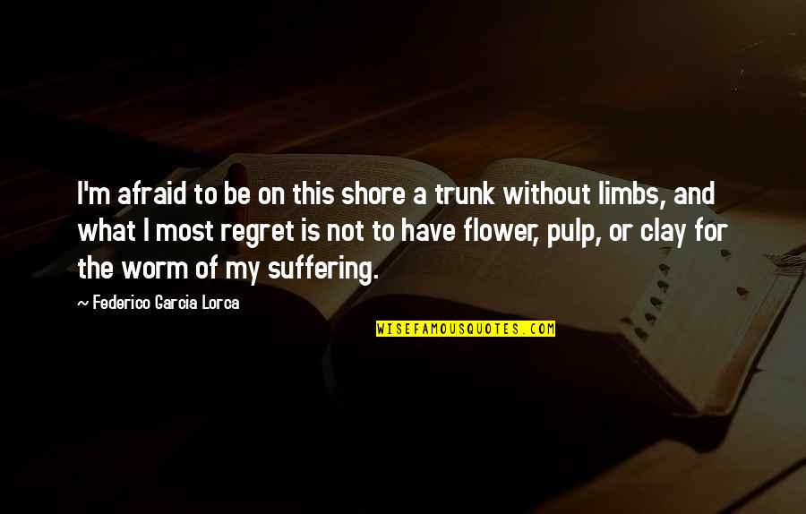 Rnas Quotes By Federico Garcia Lorca: I'm afraid to be on this shore a