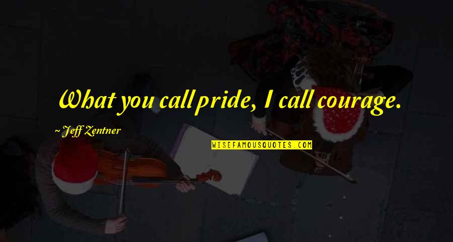 Road Id Inspirational Quotes By Jeff Zentner: What you call pride, I call courage.