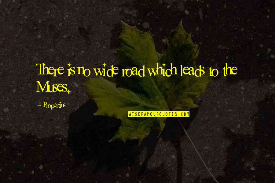 Road Leads Quotes By Propertius: There is no wide road which leads to