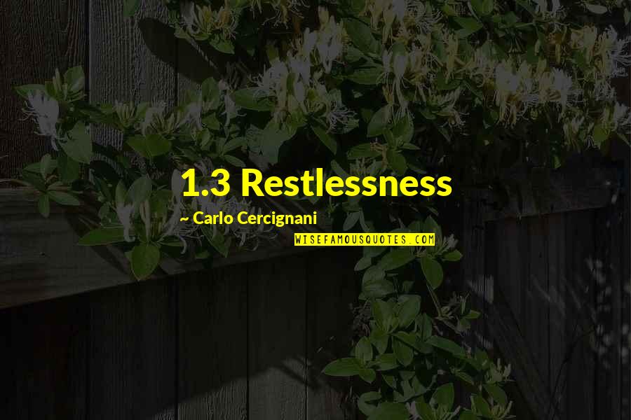 Road Of Friendship Quotes By Carlo Cercignani: 1.3 Restlessness