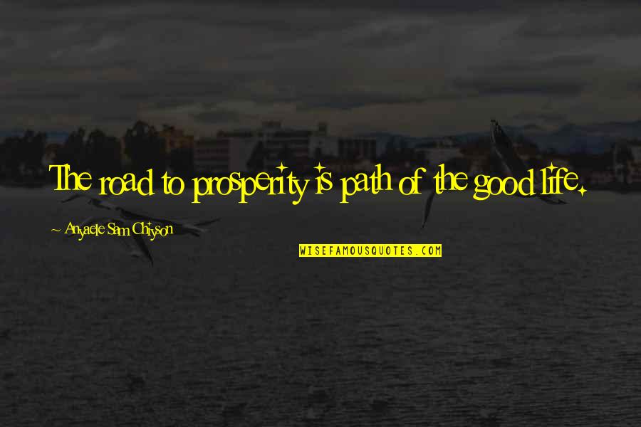 Road Path Quotes By Anyaele Sam Chiyson: The road to prosperity is path of the