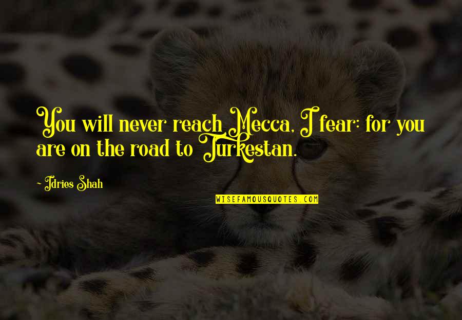 Road To Mecca Quotes By Idries Shah: You will never reach Mecca, I fear: for