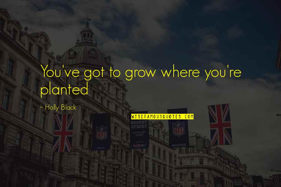 Road To Paloma Quotes By Holly Black: You've got to grow where you're planted