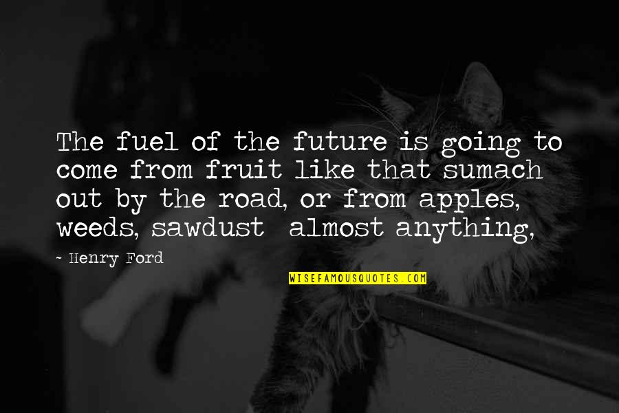 Road To The Future Quotes By Henry Ford: The fuel of the future is going to Road To The Future Quotes By Henry Ford: The fuel of the future is going to