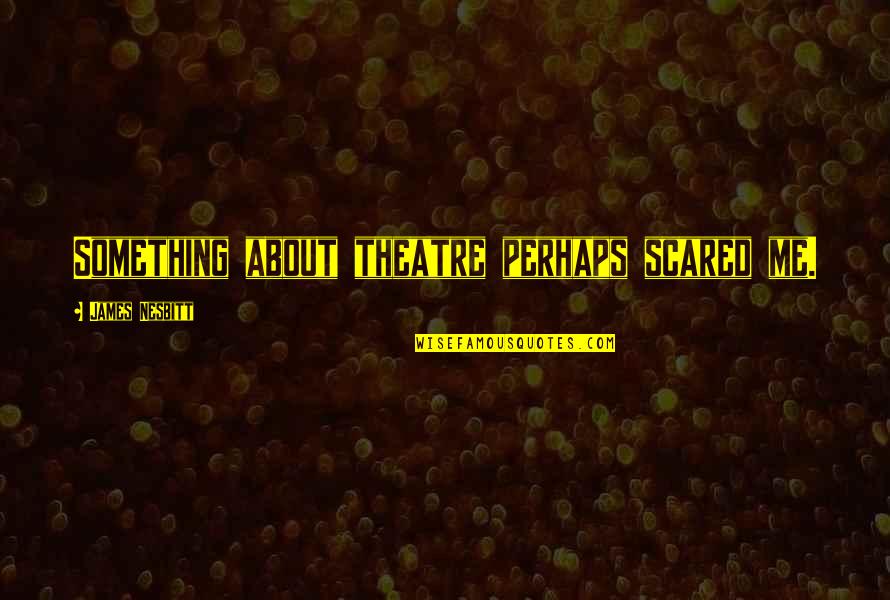 Roadblock To Success Quotes By James Nesbitt: Something about theatre perhaps scared me.