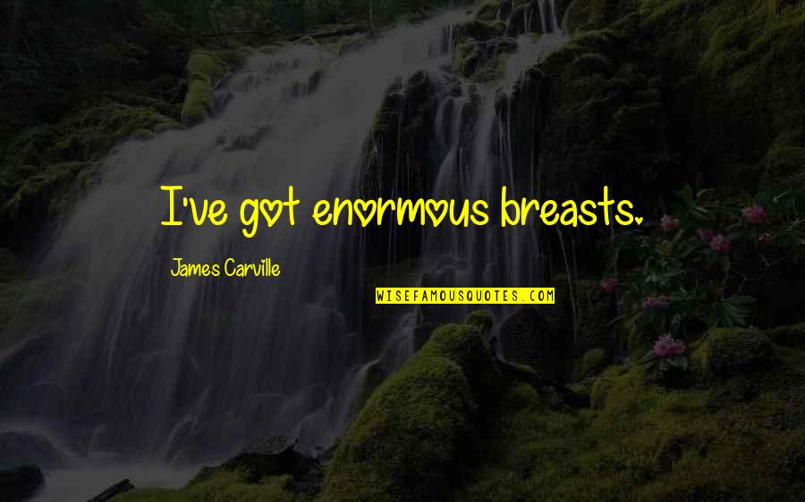 Roadbot Tyre Quotes By James Carville: I've got enormous breasts.