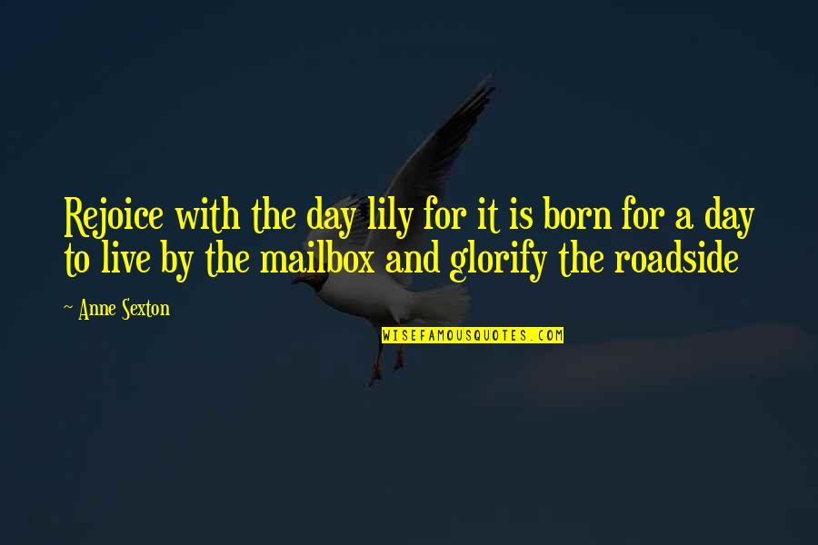 Roadside Quotes By Anne Sexton: Rejoice with the day lily for it is Roadside Quotes By Anne Sexton: Rejoice with the day lily for it is