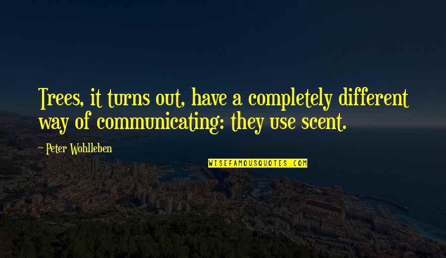 Roaring Twenties 1920 Quotes By Peter Wohlleben: Trees, it turns out, have a completely different Roaring Twenties 1920 Quotes By Peter Wohlleben: Trees, it turns out, have a completely different