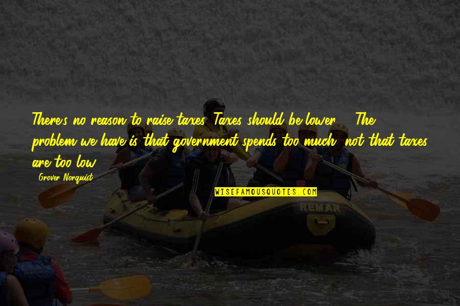 Roaring Twenties Party Quotes By Grover Norquist: There's no reason to raise taxes. Taxes should