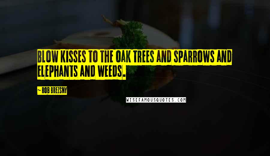 Rob Brezsny quotes: Blow kisses to the oak trees and sparrows and elephants and weeds.