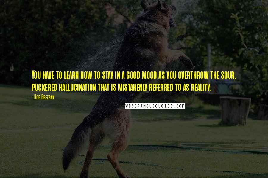 Rob Brezsny quotes: You have to learn how to stay in a good mood as you overthrow the sour, puckered hallucination that is mistakenly referred to as reality.