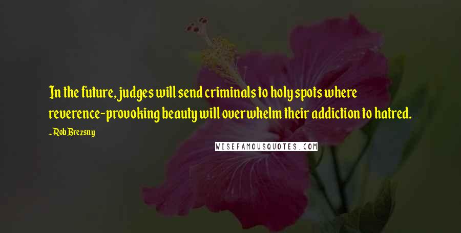 Rob Brezsny quotes: In the future, judges will send criminals to holy spots where reverence-provoking beauty will overwhelm their addiction to hatred.