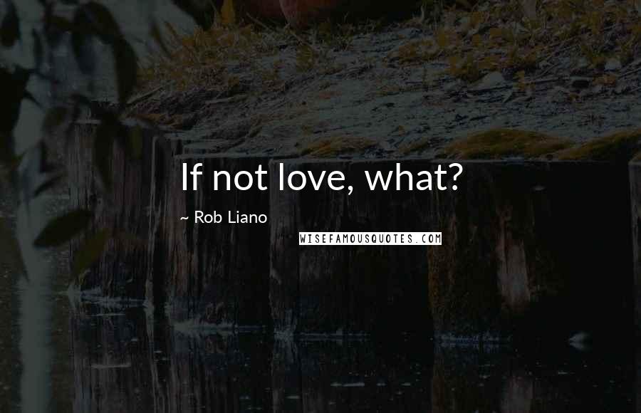 Rob Liano quotes: If not love, what?