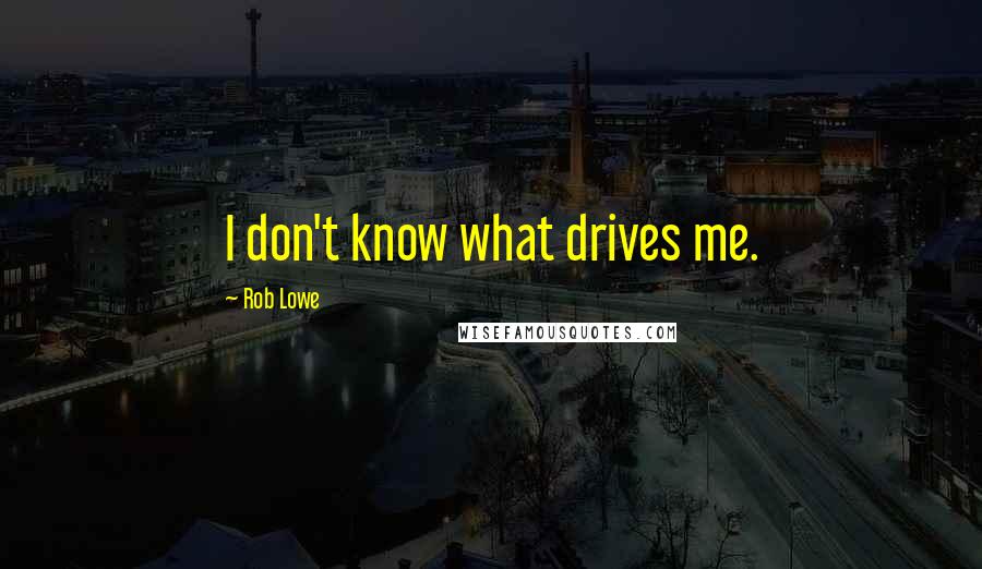 Rob Lowe quotes: I don't know what drives me.