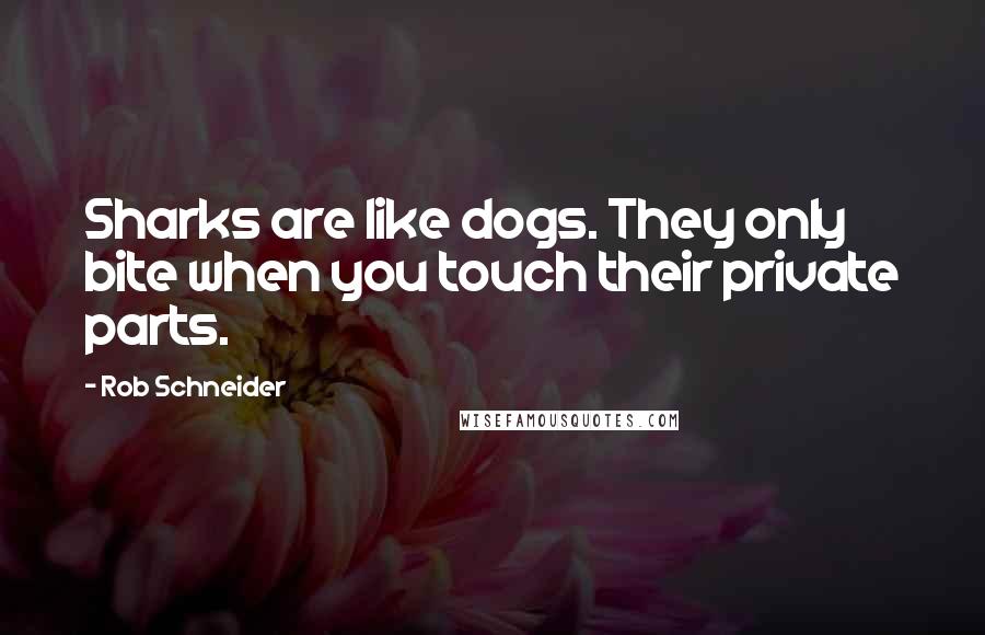 Rob Schneider quotes: Sharks are like dogs. They only bite when you touch their private parts.