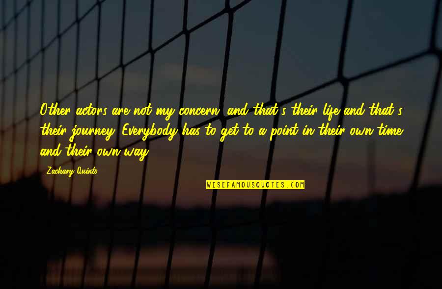 Robado Sinonimo Quotes By Zachary Quinto: Other actors are not my concern, and that's