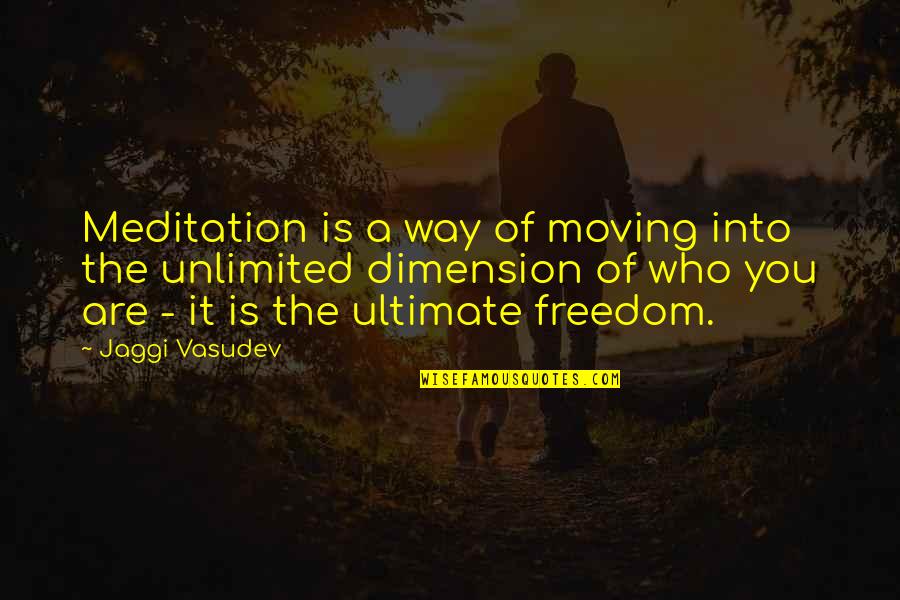 Robber Baron Moral Busybody Quote Quotes By Jaggi Vasudev: Meditation is a way of moving into the