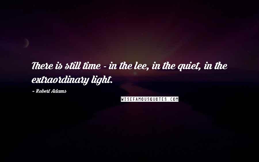 Robert Adams quotes: There is still time - in the lee, in the quiet, in the extraordinary light.