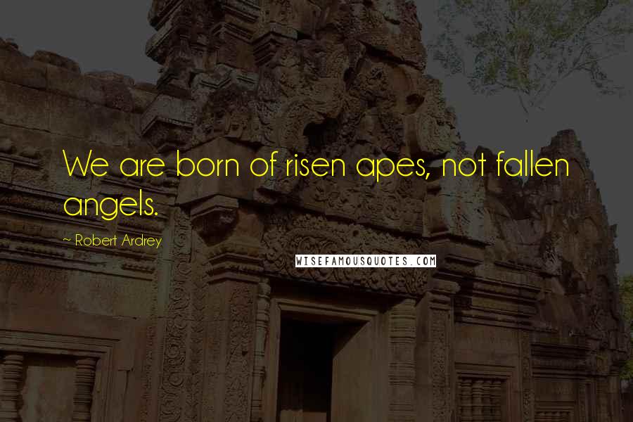 Robert Ardrey quotes: We are born of risen apes, not fallen angels.