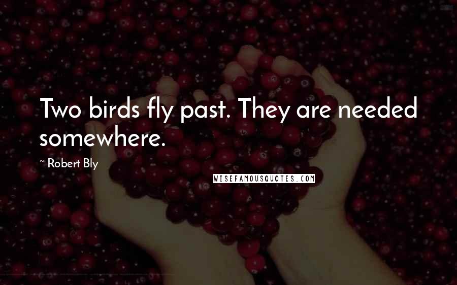 Robert Bly quotes: Two birds fly past. They are needed somewhere.