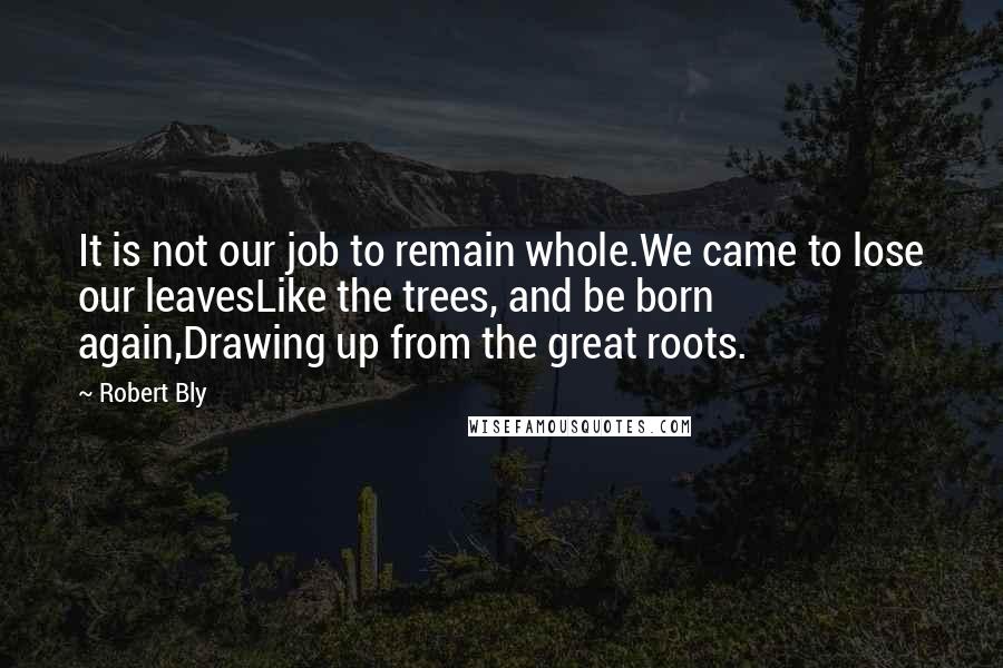 Robert Bly quotes: It is not our job to remain whole.We came to lose our leavesLike the trees, and be born again,Drawing up from the great roots.