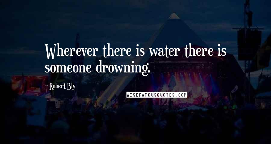 Robert Bly quotes: Wherever there is water there is someone drowning.