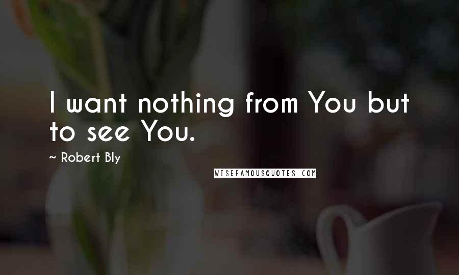 Robert Bly quotes: I want nothing from You but to see You.