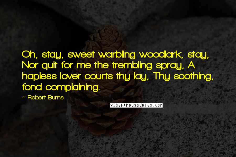 Robert Burns quotes: Oh, stay, sweet warbling woodlark, stay, Nor quit for me the trembling spray, A hapless lover courts thy lay, Thy soothing, fond complaining.