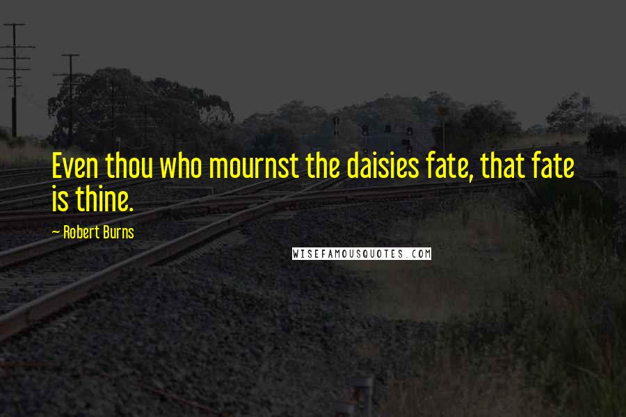 Robert Burns quotes: Even thou who mournst the daisies fate, that fate is thine.