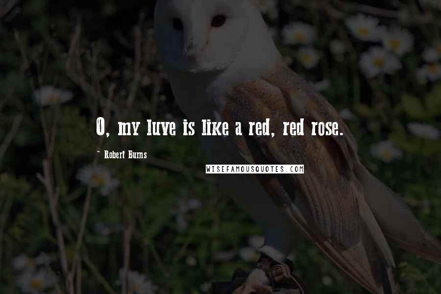 Robert Burns quotes: O, my luve is like a red, red rose.