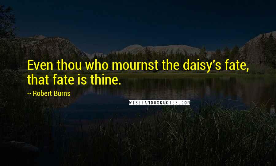 Robert Burns quotes: Even thou who mournst the daisy's fate, that fate is thine.