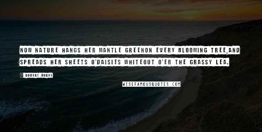 Robert Burns quotes: Now Nature hangs her mantle greenOn every blooming tree,And spreads her sheets o'daisies whiteOut o'er the grassy lea.