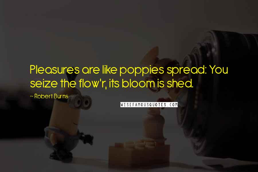 Robert Burns quotes: Pleasures are like poppies spread: You seize the flow'r, its bloom is shed.