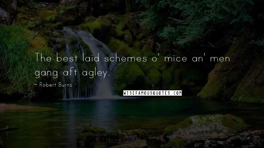 Robert Burns quotes: The best laid schemes o' mice an' men gang aft agley.