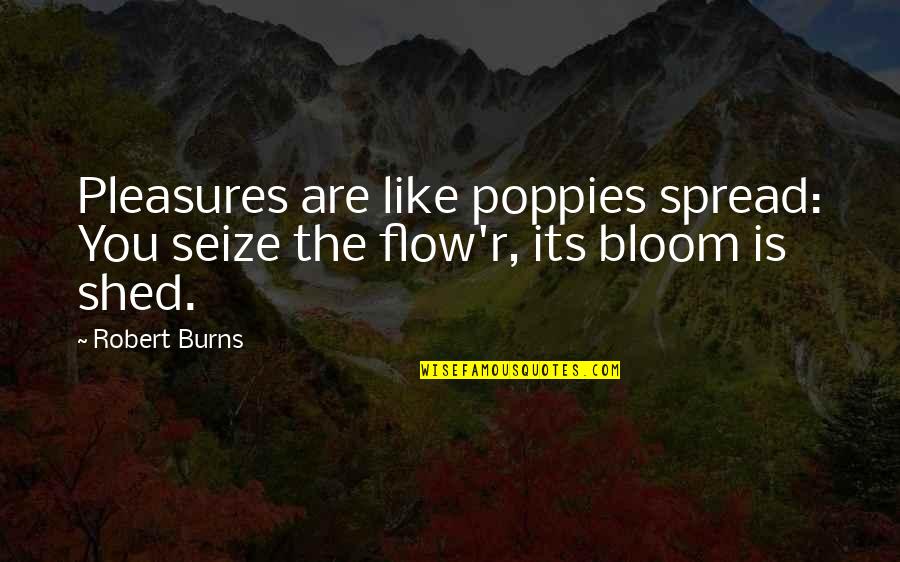 Robert Burns Quotes By Robert Burns: Pleasures are like poppies spread: You seize the