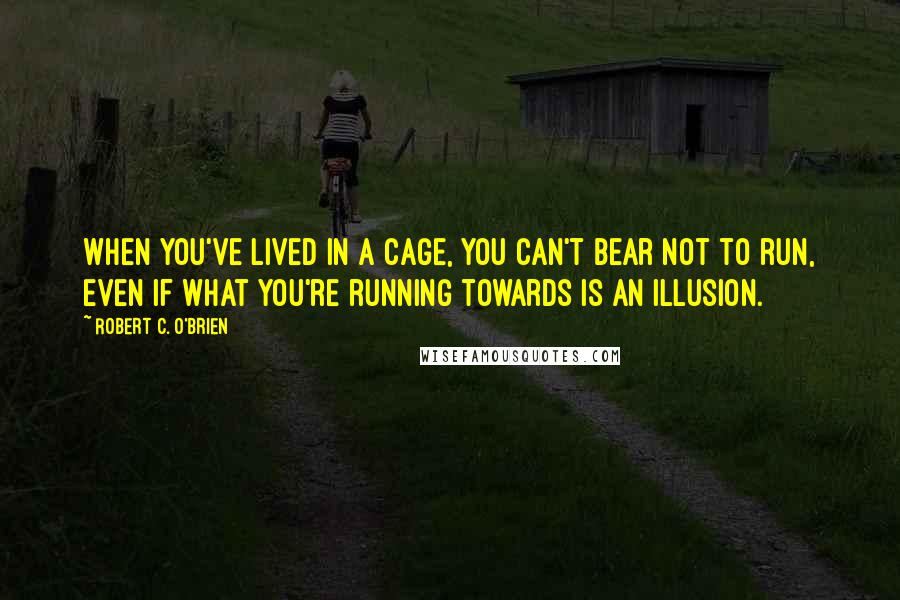 Robert C. O'Brien quotes: When you've lived in a cage, you can't bear not to run, even if what you're running towards is an illusion.