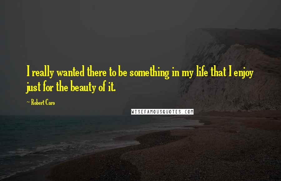 Robert Caro quotes: I really wanted there to be something in my life that I enjoy just for the beauty of it.