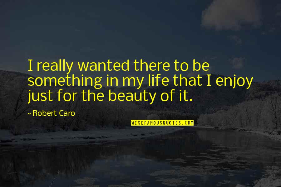 Robert Caro Quotes By Robert Caro: I really wanted there to be something in Robert Caro Quotes By Robert Caro: I really wanted there to be something in