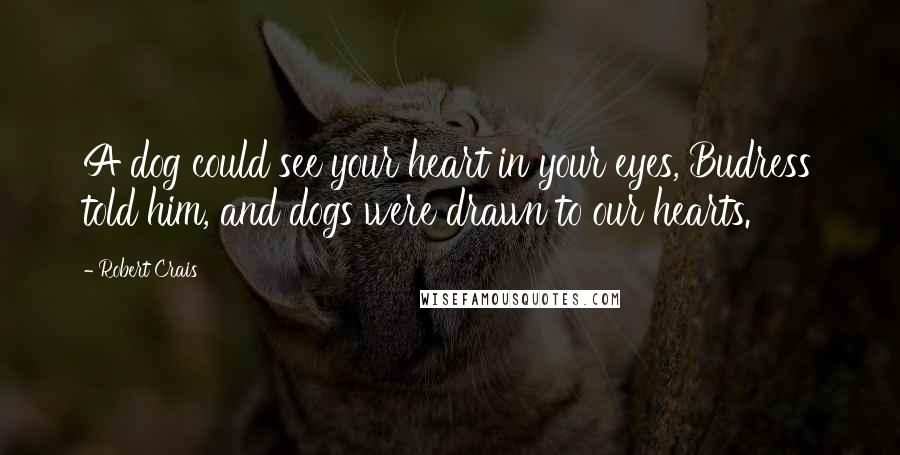 Robert Crais quotes: A dog could see your heart in your eyes, Budress told him, and dogs were drawn to our hearts.