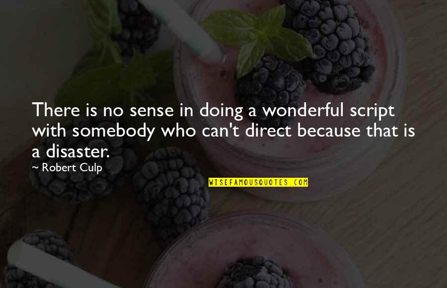 Robert Culp Quotes By Robert Culp: There is no sense in doing a wonderful